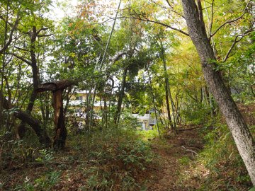 建物が見えたら、左