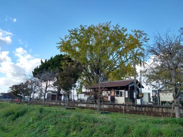 北条鉄道　網引駅