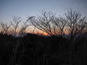 六甲山最高点