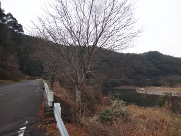 県道19号線