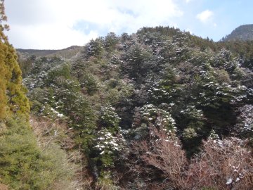 雪景色の山